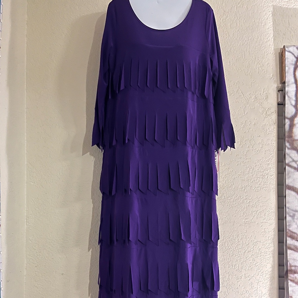 Brand New Beautiful Fringe Style Dress! New Years!  Little Red Hat Society!!